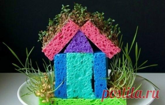 Домик с зеленью из губок