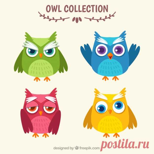 Четыре цветные совы Более миллиона свободных векторов, PSD, фотографии и бесплатные иконки. Эксклюзивные халявы и все графические ресурсы, которые необходимые для ваших проектов