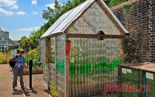 Теплица из пластиковых бутылок своими руками