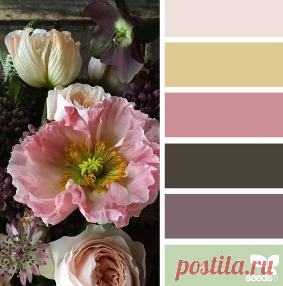 jessica colaluca (@designseeds) • Фото и видео в Instagram