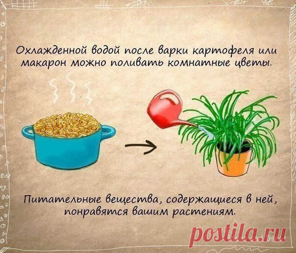 Полезные советы / Домоседы