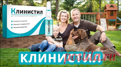 Клинистил – описание
Это антигельминтные ампулы, очищающие организм от паразитов и токсинов. Препарат борется с любыми видами паразитов (гельминтов). Препарат идеально подходит для лечения в любом возрасте, его можно принимать даже детям. В случае если в доме обнаружены паразиты в организме хоть у одного человека, всем необходимо пройти курс лечения.
Натуральные вещества, входящие в состав препарата, уничтожают взрослых паразитов и обезвреживают яйца еще не рожденных гельм...