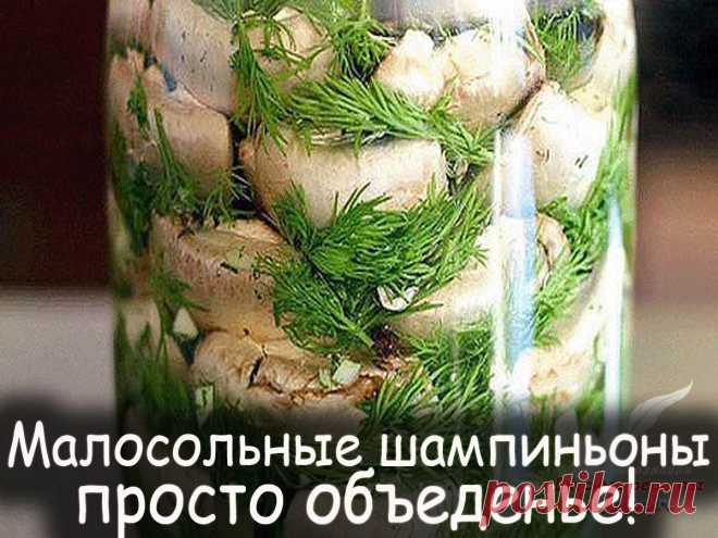 Закуски из овощей - Вкусные рецепты от Мир Всезнайки