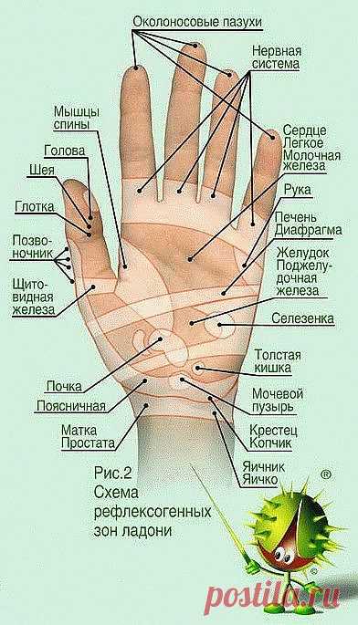САМЫЙ ПРОСТОЙ И ПОЛЕЗНЫЙ САМОМАССАЖ