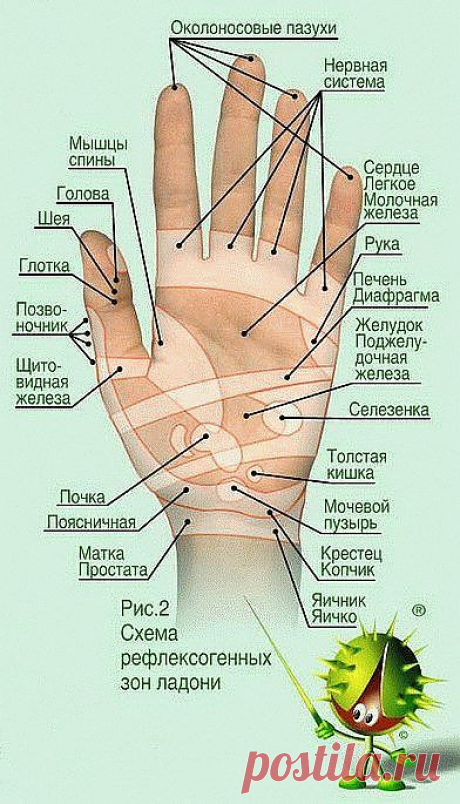 САМЫЙ ПРОСТОЙ И ПОЛЕЗНЫЙ САМОМАССАЖ