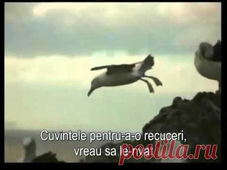 Claude Barzotti _Poète [subtitrare română]
