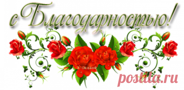Для любителей фиалок: чтобы фиалки цвели круглый год