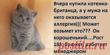 - Не люблю читать книги, всегда слишком много персонажей... - Мужчина, можете не материться при ребенке? - Вообще-то я слова перечисляю, которые он на моей машине нацарапал! Господь просто физически не может уследить за всеми… Поэтому Он и создал мою соседку – бабу Клаву! - Ваша собака меня укусила! Теперь я намерена требовать компенсацию!-...
