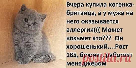 - Не люблю читать книги, всегда слишком много персонажей... - Мужчина, можете не материться при ребенке? - Вообще-то я слова перечисляю, которые он на моей машине нацарапал! Господь просто физически не может уследить за всеми… Поэтому Он и создал мою соседку – бабу Клаву! - Ваша собака меня укусила! Теперь я намерена требовать компенсацию!-...