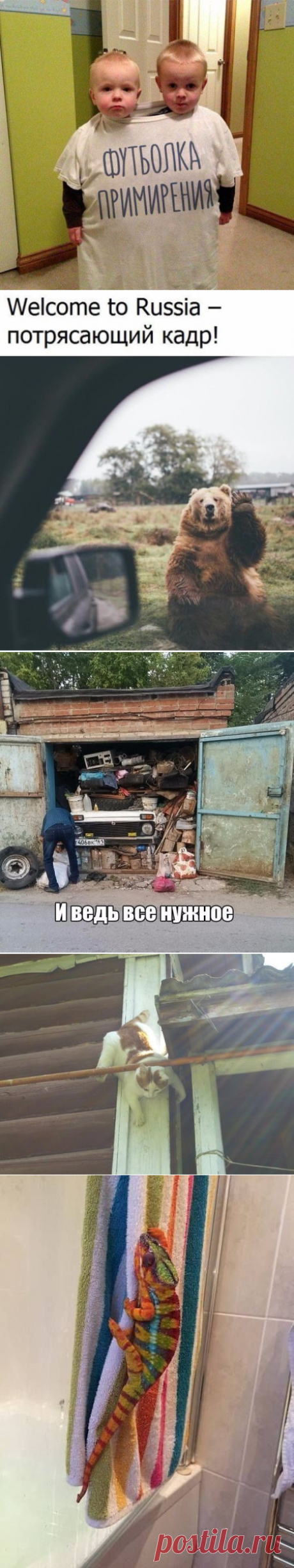 Юмор в прикольных картинках