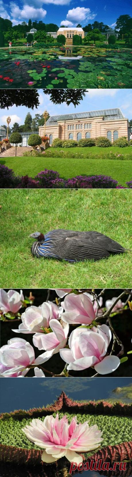 Штутгарт - один из самых зеленых городов Германии.Сад "Вильгельма"!