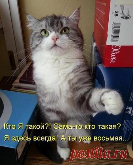 Убойный юмор