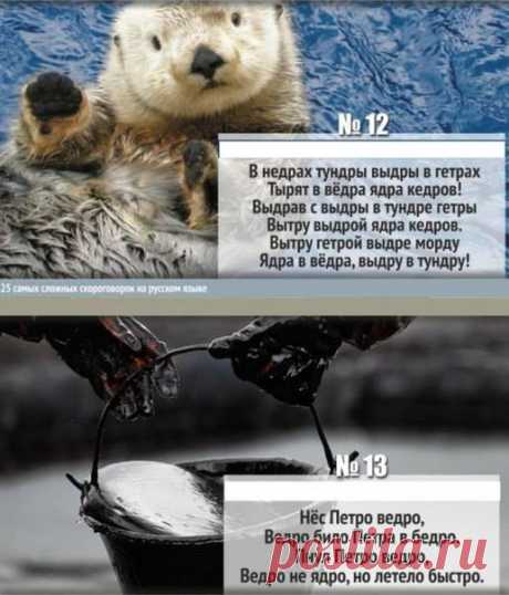 Наташа Мадяр