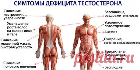 Ehealth | Официальный сайт электронной системы здравоохранения Украины