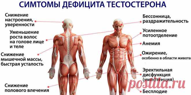 Ehealth | Официальный сайт электронной системы здравоохранения Украины