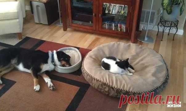 Мой Мир@Mail.Ru