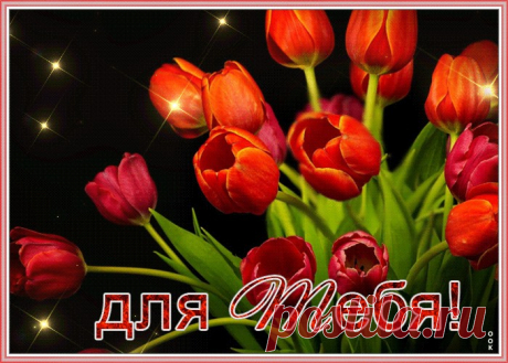 Открытка красные тюльпаны
