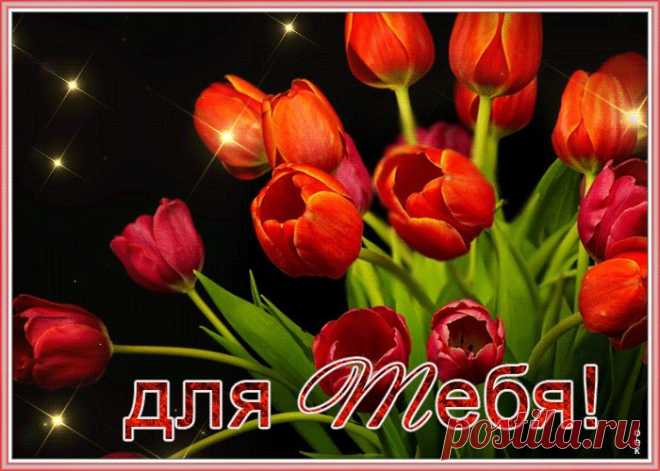 Открытка красные тюльпаны