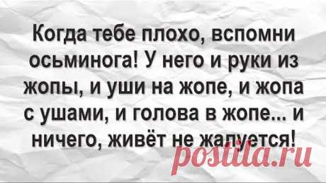 САРКАЗМ ЮМОР в картинках - ЮМОР ДНЯ