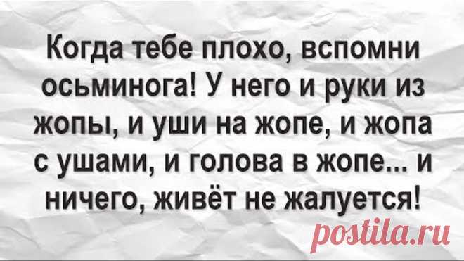 САРКАЗМ ЮМОР в картинках - ЮМОР ДНЯ