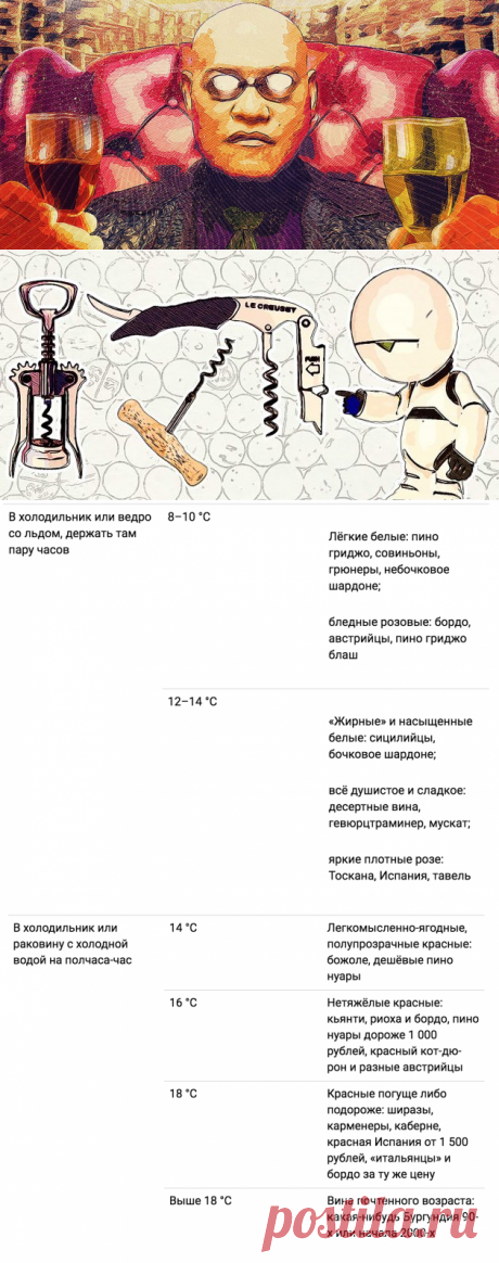 Как пить вино: инструкция для чайников - Лайфхакер