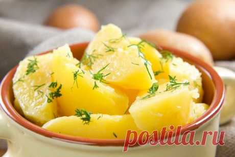 От чего зависит вкус картошки