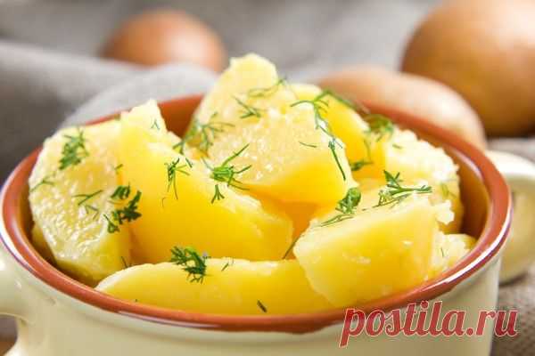 От чего зависит вкус картошки