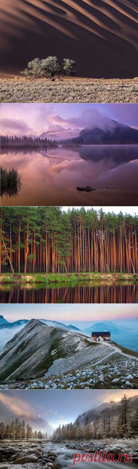 Лучшие сентябрьские фото National Geographic / Туристический спутник
