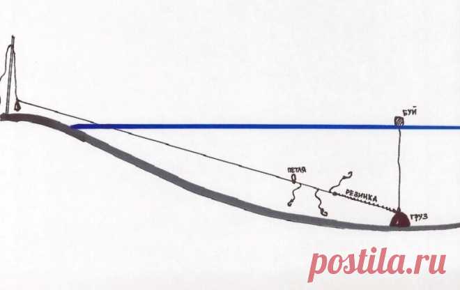 Ловля щуки с берега. Всегда с добычей без всяких блёсен, воблеров и твистеров | Рыбалка, рецепты блюд, здоровье | Яндекс Дзен