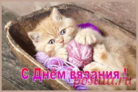 В День вязания желаю,
Навязать шарфов, носков,
Всю семью оберегая
От суровых холодов.