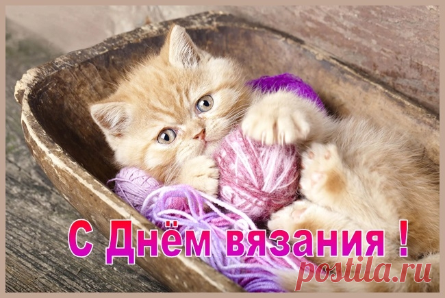 В День вязания желаю,
Навязать шарфов, носков,
Всю семью оберегая
От суровых холодов.