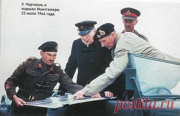 Старый ястреб не выпадет из гнезда. | ПРИСТАНЬ ОПТИМИСТОВ