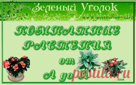 КАТАЛОГ КОМНАТНЫХ РАСТЕНИЙ