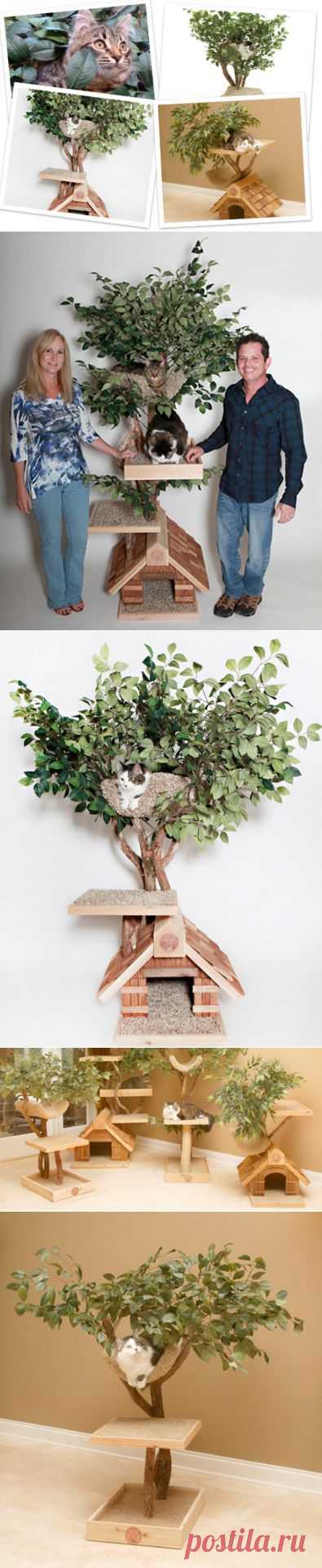 Удивительный дом для кошек