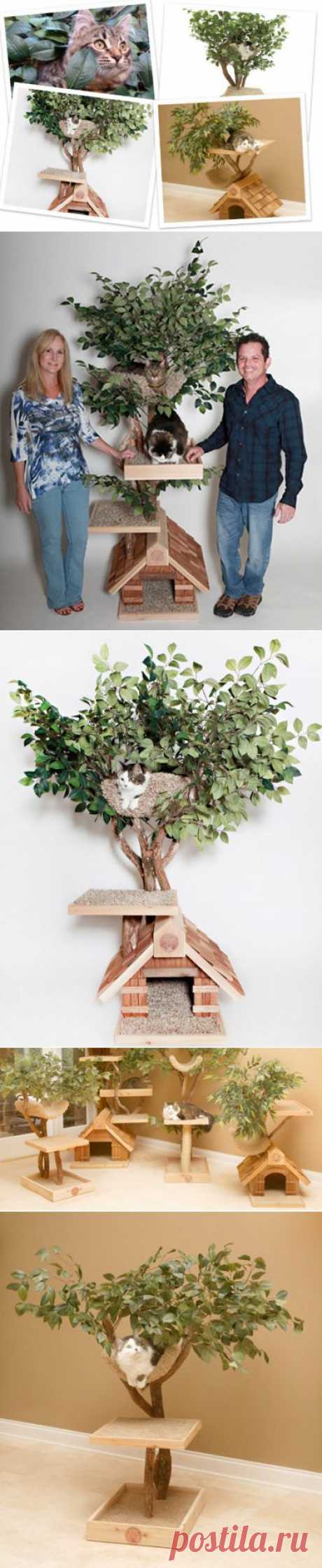 Удивительный дом для кошек