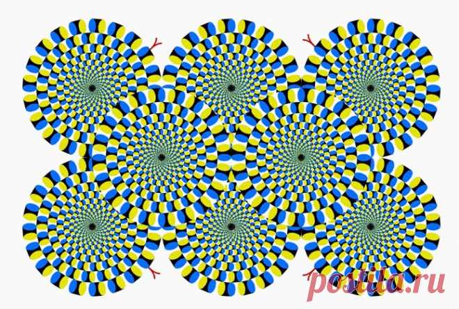 ИЛЛЮЗИЯ ЯПОНСКОГО ПСИХИАТРА «ВРАЩАЮЩИЙСЯ ЗМЕЙ»  
 
 
Тест на психическую и физическую усталость.
Эту иллюзию изобрел японский психиатр Акиоши Китаока. Согласно ему, «зрительные иллюзии» как ничто другое помогают определить психическое состояние…
