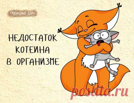 20 комиксов о крошке Ши, самой оптимистичной белке в мире