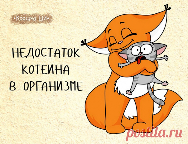 20 комиксов о крошке Ши, самой оптимистичной белке в мире
