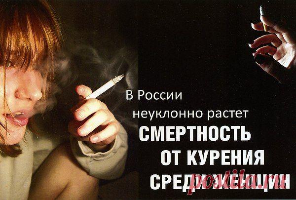 Интересные новости