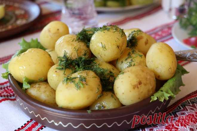 Список из 13 продуктов для здорового снижения веса | Павел Корпачев | Яндекс Дзен