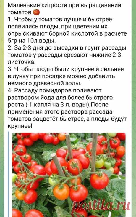 (326) Pinterest