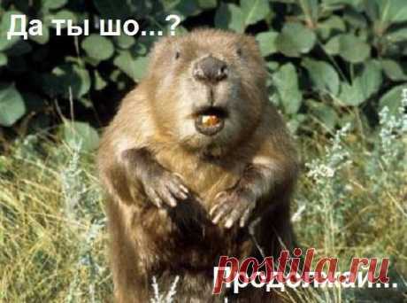 Новости 24 Сегодня