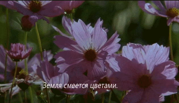 Дневник Luba_Galeeva