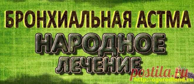 Лечение бронхиальной астмы народными средствами