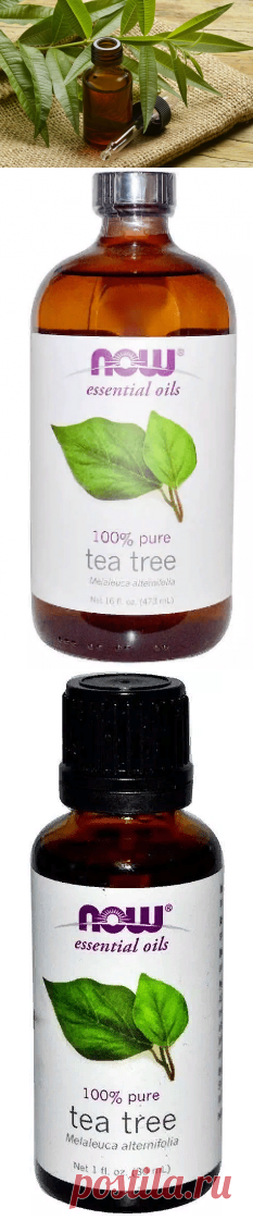 Масло чайного дерева — свойства и использование в косметике