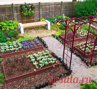 Огород и полив для ленивых Экологичная усадьба: Как хотелось бы любоваться садом, огородом и при этом ничего не делать. Чтобы содержать в порядке огород, требуется много времени и сил, но так лень. Помимо лени, у многих людей просто нет возможности и времени ухаживать за садом и огородом. Хочется приехать на дачу и просто отдохнуть, не наблюдая, при этом, как участок зарастает, словно дикий лес. При таких запросах будем создавать огород для ленивых.