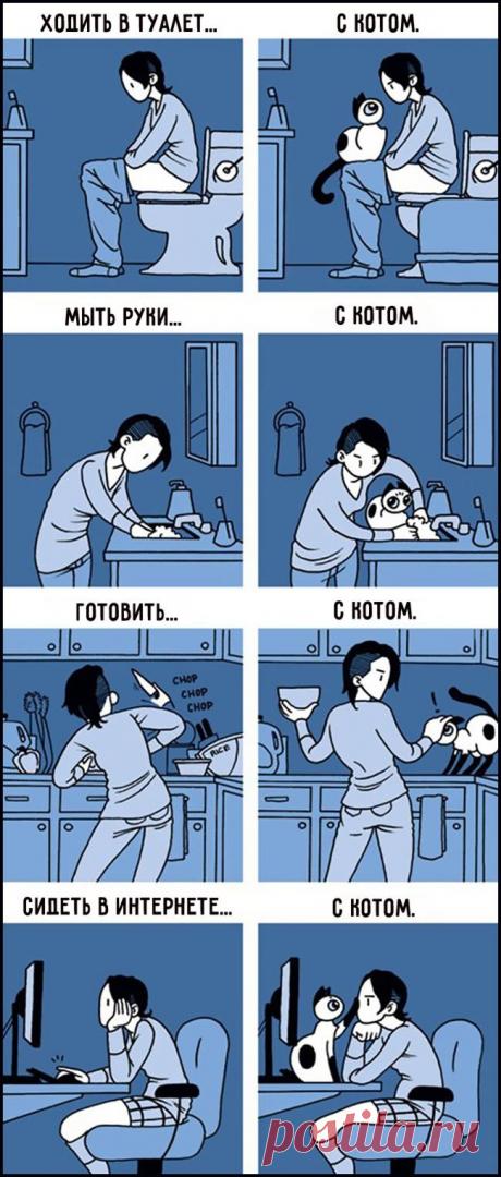 15 комиксов, которые поймут все владельцы кошек