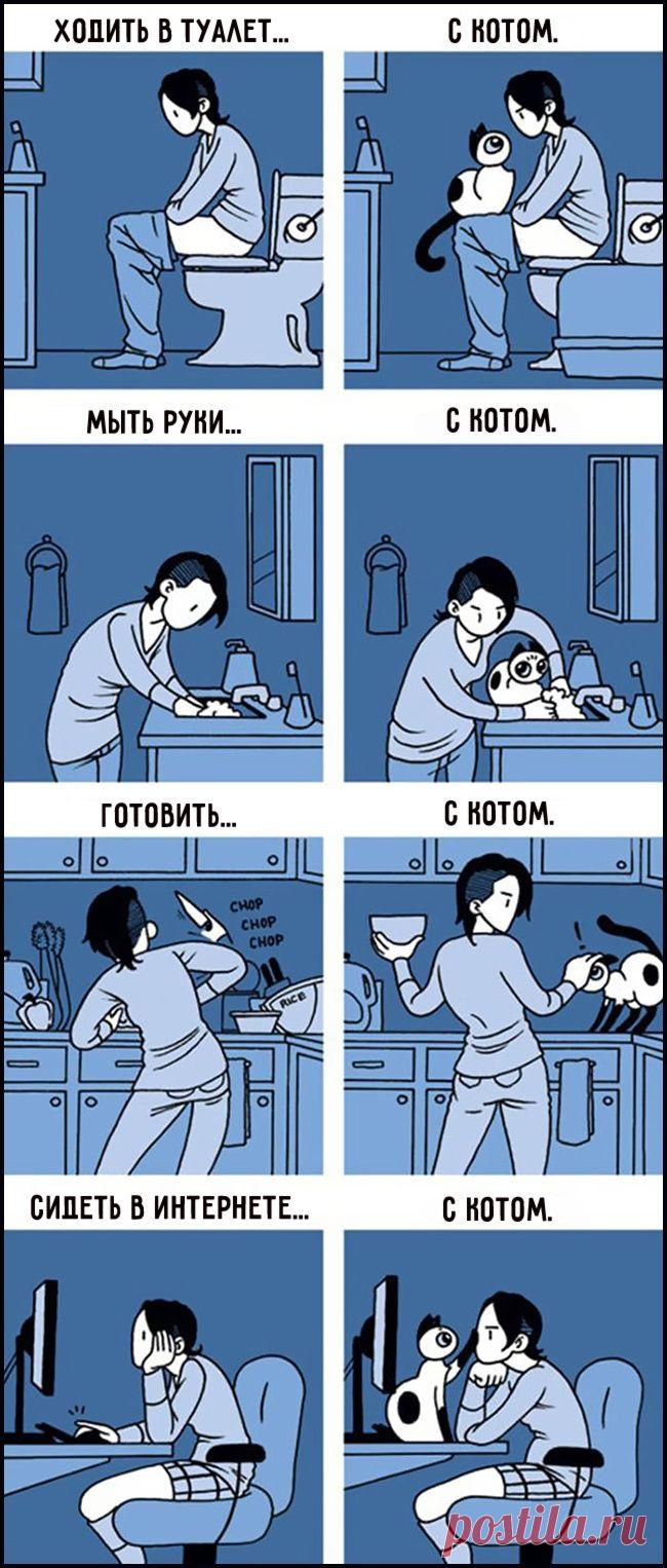 15 комиксов, которые поймут все владельцы кошек