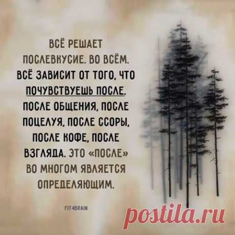 Фитнес для мозга - Хроника