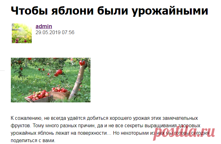 Чтобы яблони были урожайными - Садоводка